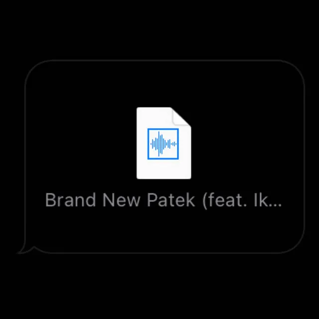 Brand New Patek