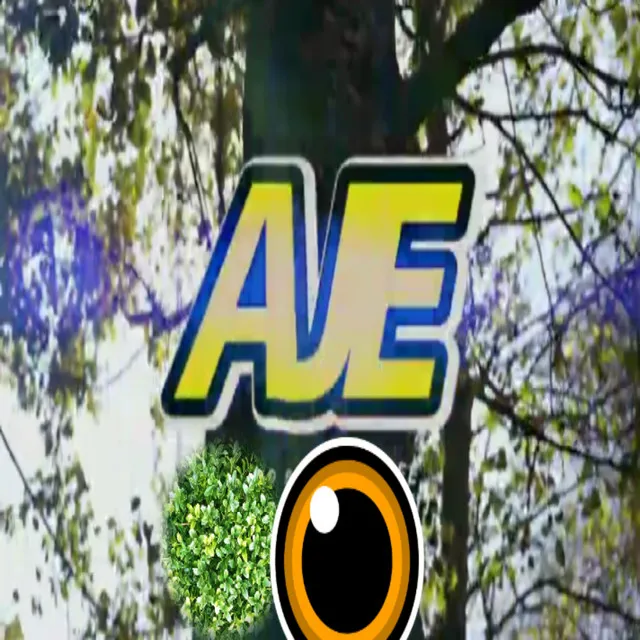 Aje