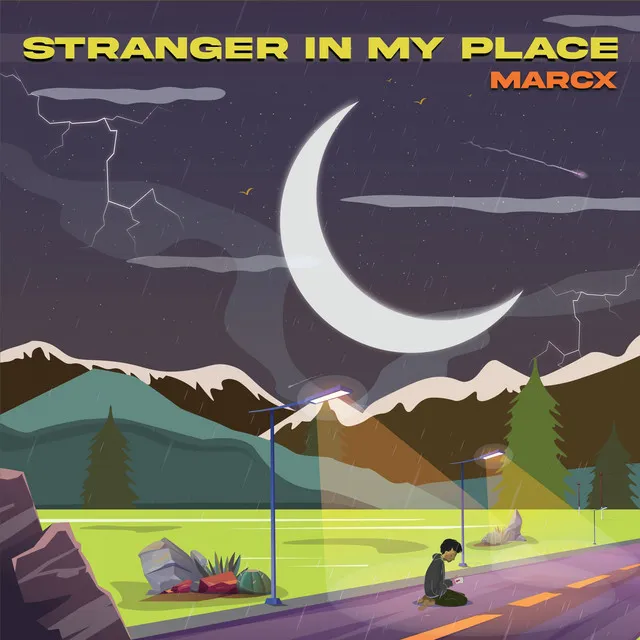 Stranger in My Place