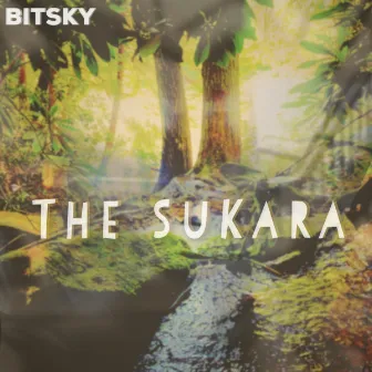 The Sukara by BITSKY