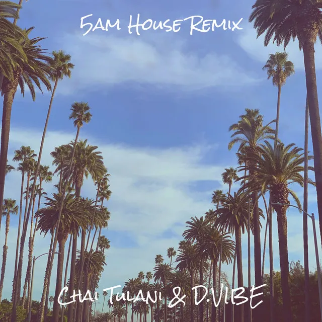 5am (House Remix)