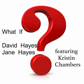 What If? by David Hayes