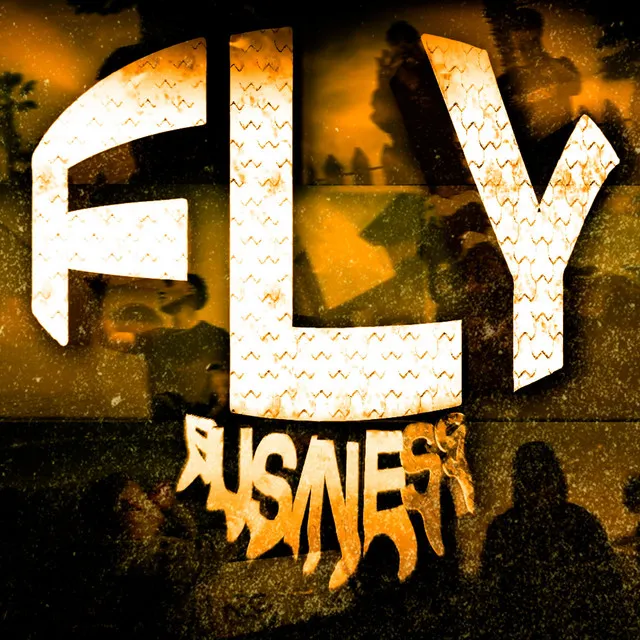 Fly Business