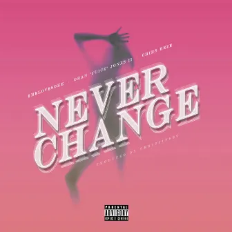 Never Change by Chris Reze