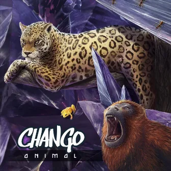 Animal by Chango