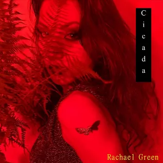 Cicada by Rachael Green