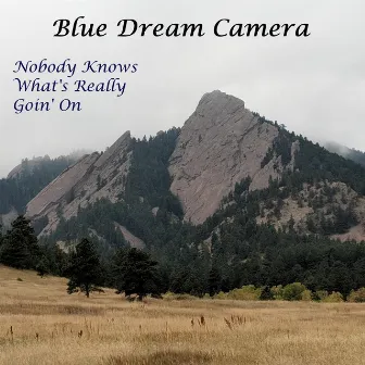 Nobody Knows What's Really Goin' On by Blue Dream Camera