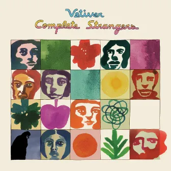 Complete Strangers by Vetiver