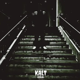 Kalt by Viggor