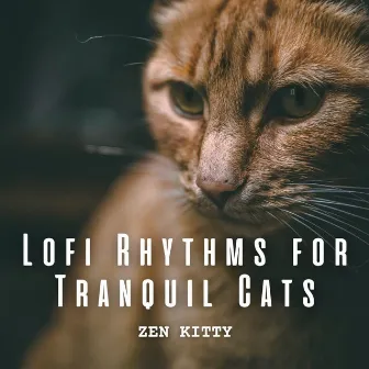 Zen Kitty: Lofi Rhythms for Tranquil Cats by Unknown Artist