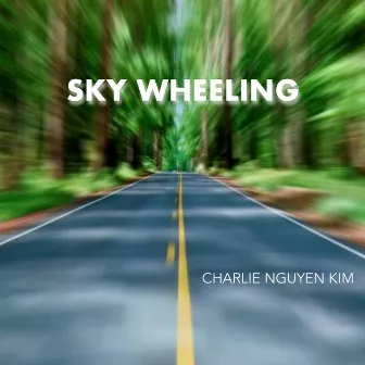 SKY WHEELING by Charlie Nguyen Kim