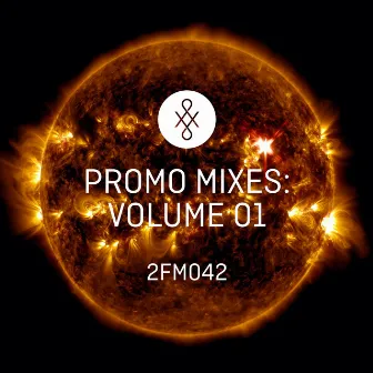 2FM042 Promo Mixes - Volume 1 by Bradley Farmer