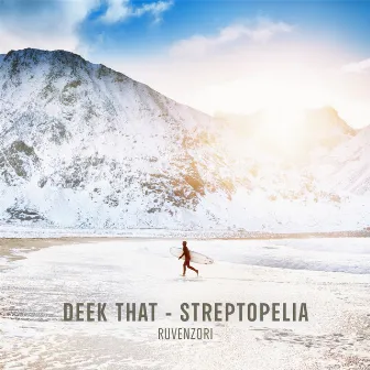 Streptopelia by Deek That