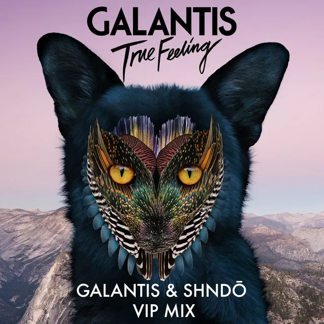 True Feeling - Galantis & shndō VIP Mix