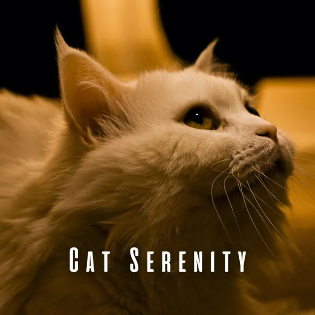 Cat Serenity: Chill Music Collection