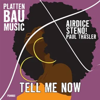 Tell Me Now by Paul Thaesler