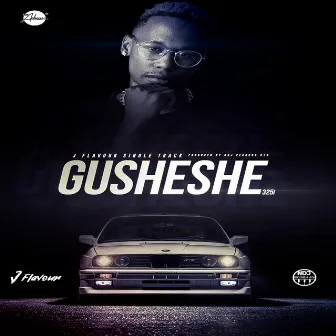 Gusheshe by Ndj Records