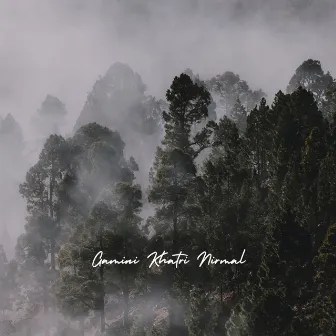 Nirmal by Gamini Khatri