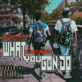 What You Gon Do by Unknown Artist