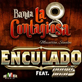 Enculado (feat. Punto Final) by Banda La Contagiosa