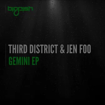 Gemini EP by Third District