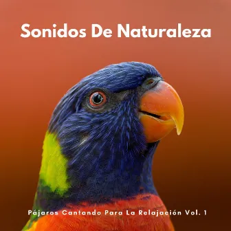 Sonidos De Naturaleza: Pájaros Cantando Para La Relajación Vol. 1 by Aves del bosque sueco