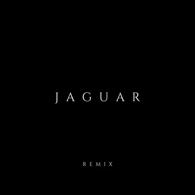 Jaguar(Remix)