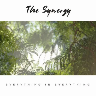 Everything in Everything by The Synergy