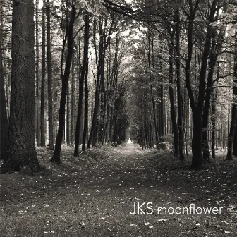 Moonflower by JKS