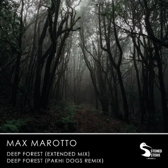 Deep Forest by Max Marotto