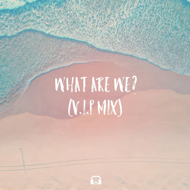 What Are We? (V.I.P Mix)