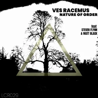 Nature of Order by Ves Racemus