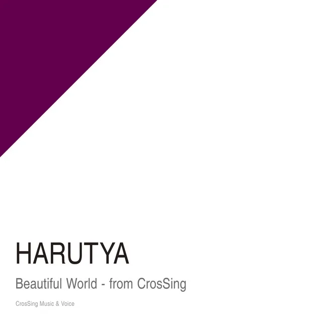 Beautiful World - From CrosSing