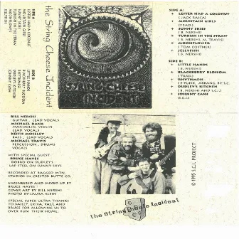 Aged Cheese: SCI's First Cassette Tape by The String Cheese Incident