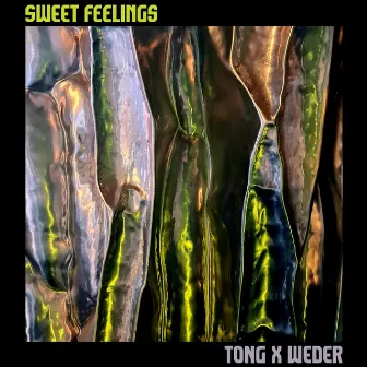 Sweet Feelings by Tonio Geugelin