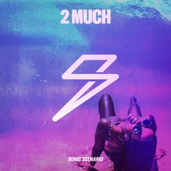 2 Much by ladium