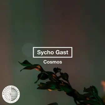 Cosmos by Sycho Gast