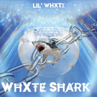 Whxte Shark by Unknown Artist