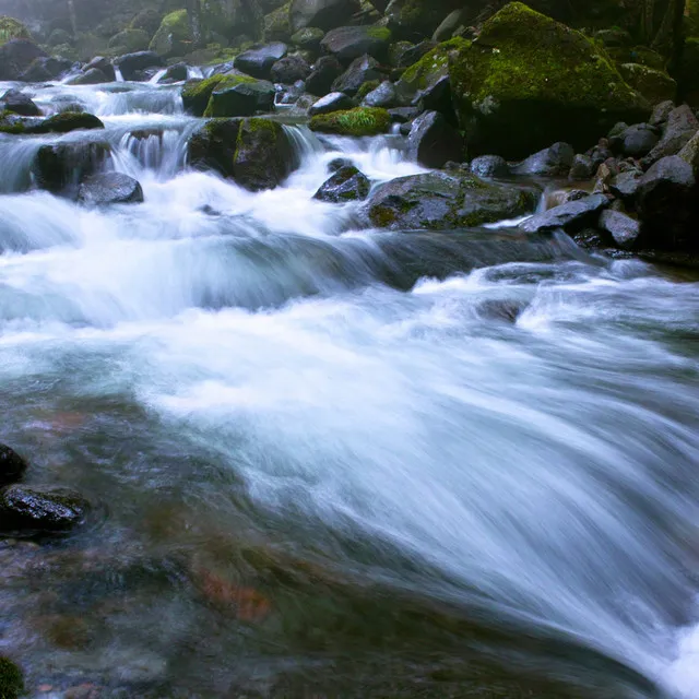 Water's Flow: Stream's Gentle Chorus