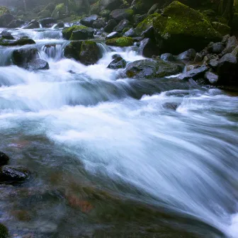 Water's Flow: Stream's Gentle Chorus by Trenti