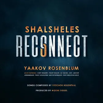 Shalsheles Reconnect by Shalsheles