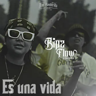 Es Una Vida by Bipz Flow