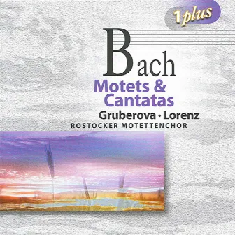 Bach: Motets & Cantatas by Hartwig Eschenburg