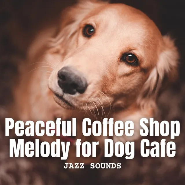 Mellow Jazz Vibes in the Dog Cafe