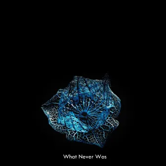 What Never Was by Alura Project