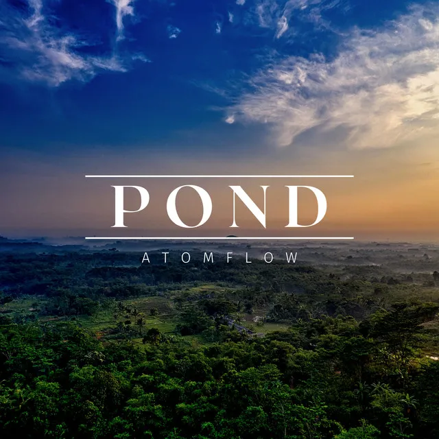 Pond