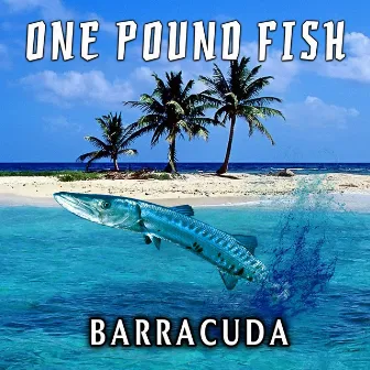 One Pound Fish by Barracuda