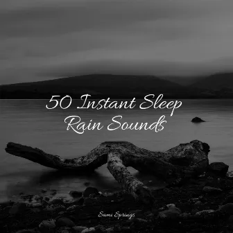 50 Instant Sleep Rain Sounds by Nature Sound Collection