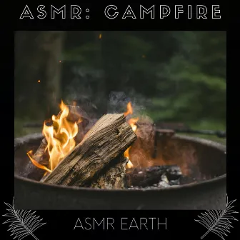 ASMR: Campfire by Asmr