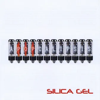 Apopcalipsis by Silica Gel